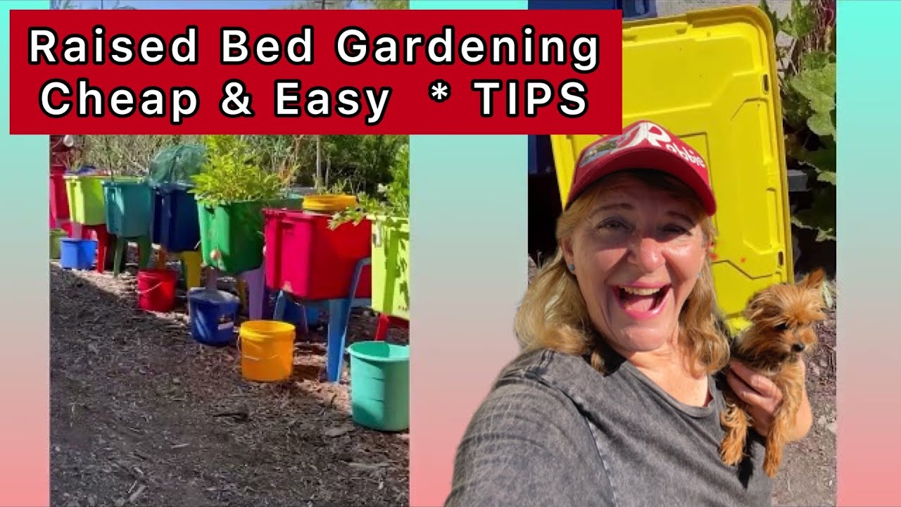 Container Gardening CHEAP Growing Tons of FOOD in Raised Bed Storage Tote $7 or Less & $ Saving TIPS
