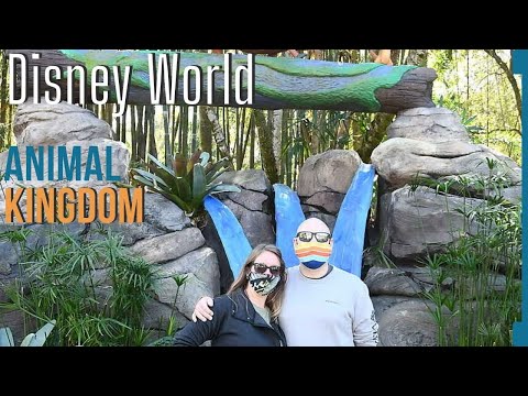 Walt Disney World Day 1 - Animal Kingdom