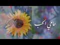 حامي الحب من أشعار راشد شرار ألحان و غناء سلطان الريسي حامي الحب من أشعار راشد شرار ألحان و غناء سلطان الريسي