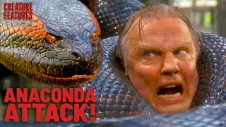 Anaconda Strikes: Every Heart-Stopping Encounter | Creature Features