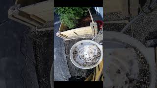 Feeder Zone: Robobird Buffet — No Hands Needed - 13 July 2025 #garden #chillout #shorts