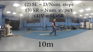 Velocity, Step Length and Step Rate