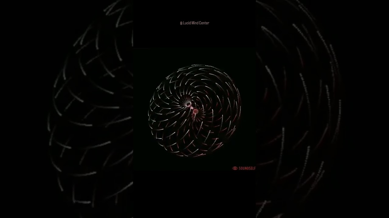 El Toroide y el canal Central - The Torus and the Central Channel 