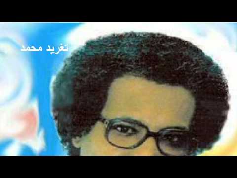 مصطفى سيد احمد صابرين تغريد محمد