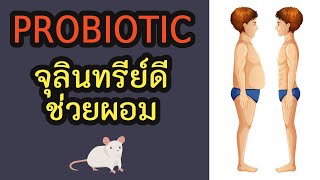 ประโยชน์ของ Probiotics ที่ไม่ใช่แค่ช่วยลดน้ำหนัก