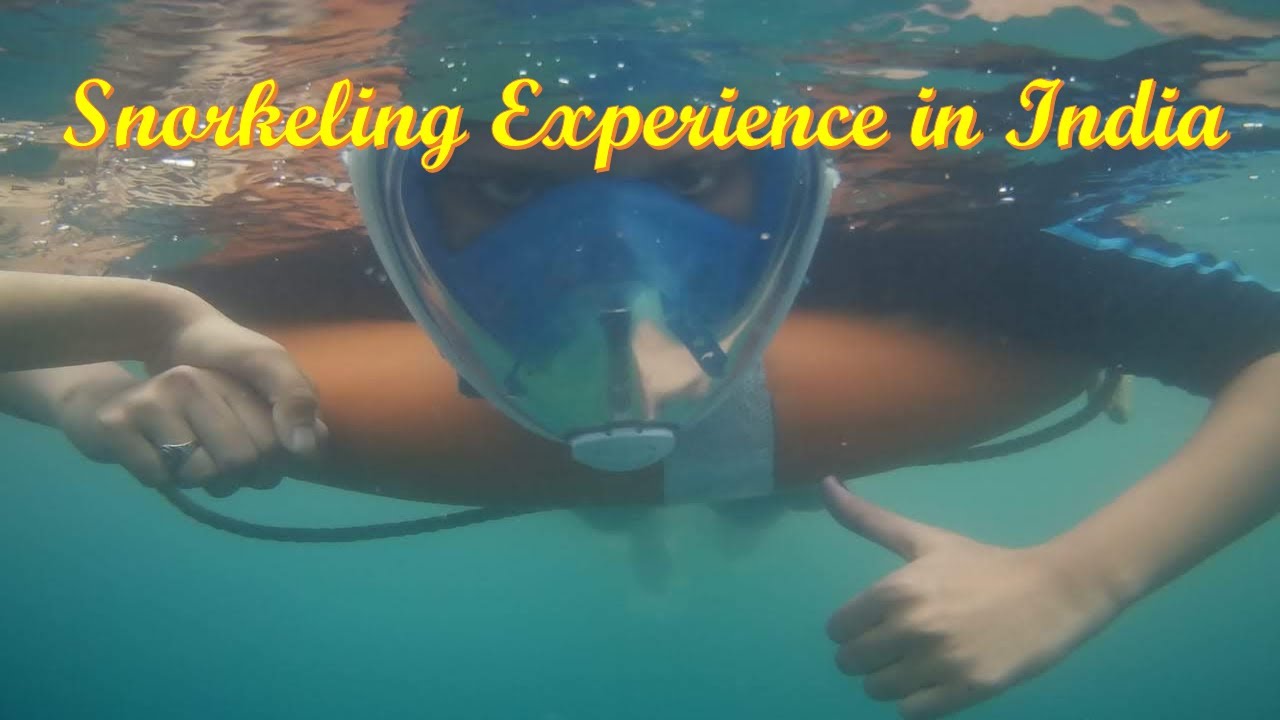 Snorkeling in Andaman Island Cost / Experience / Insight / Elephant