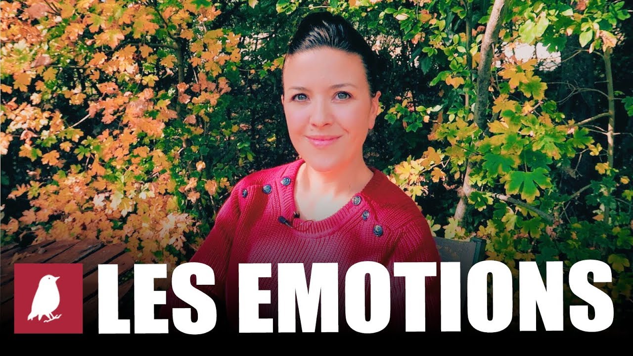 INTELLIGENCE ÉMOTIONNELLE: la gestion des émotions chez l'enfant