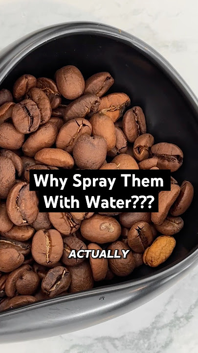 Why baristas spray their coffee beans?