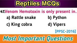 MCQs on Reptiles 2 - Animal Kingdom MCQs - Frequently asked questions