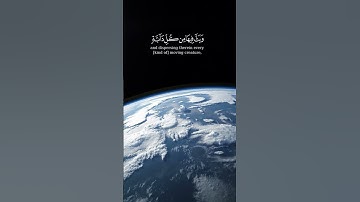 قران || احمد النفيس- #اكسبلور_2020 #اكسبلور #قران_الكريم #قرآن #راحة_نفسية #اجر_لي_ولك #تلاوة_خاشعة
