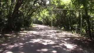 Walk in the Woods (part 1) - Special Video Fx- 3d camera tracker - after effects