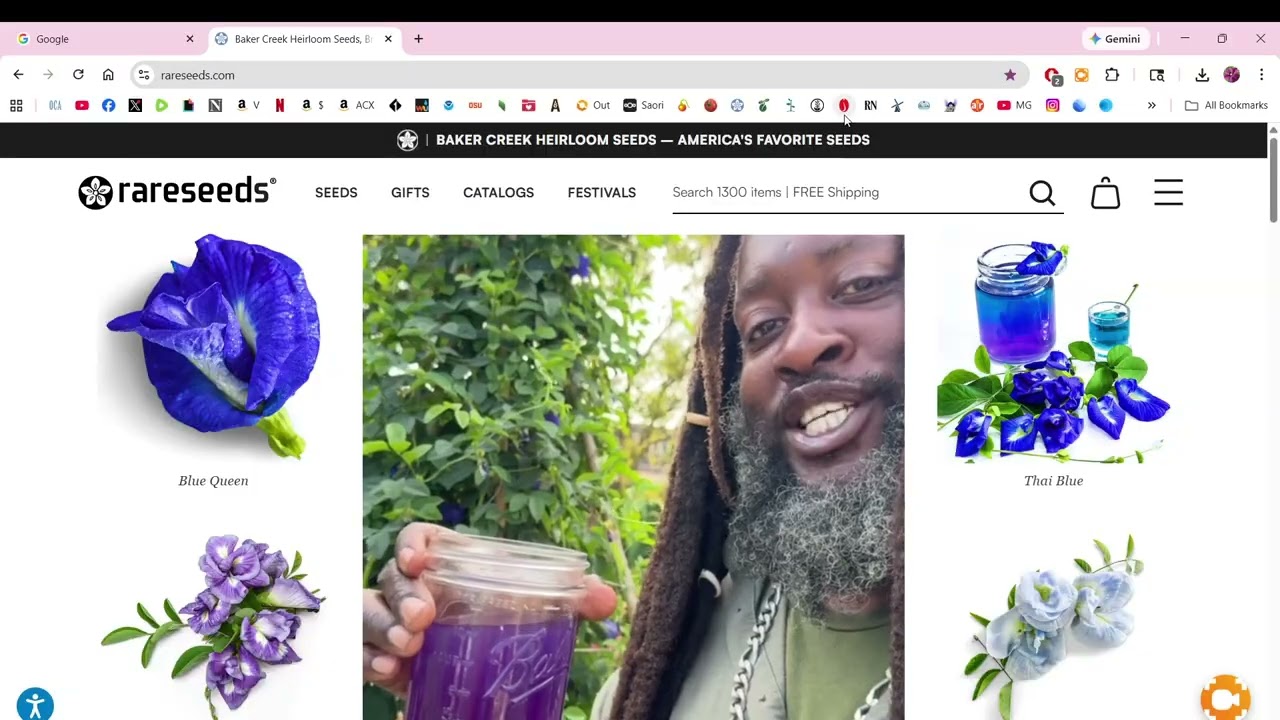 Whirlwind Tour of My Favorite Online Nurseries and Seed Companies- 2026