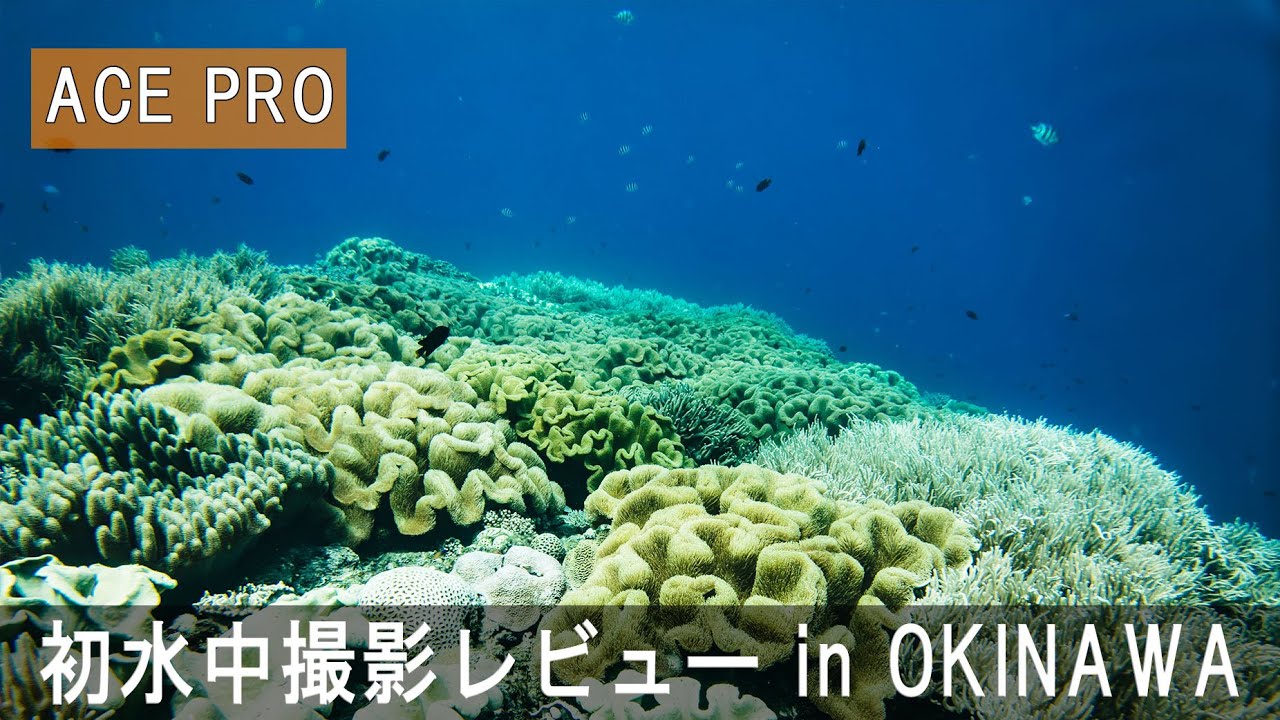 ACE PROで念願の水中デビュー！使用感と感想まとめ！ / OKINAWA VLOG