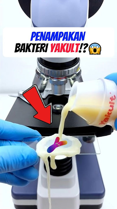 ZOOM IN! Bakteri dalam Yakult di Mikroskop, Hasilnya Bikin Kaget! 😱🔬🥤 #shorts