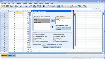 Two Way ANOVA - SPSS (part 2)