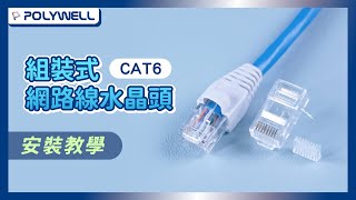 CAT6組裝式網路線水晶頭｜安裝教學｜POLYWELL 寶利威爾