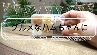 【チャーム】ハムスターのおやつ　大人気おやつ ６種 お試しセット