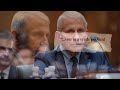 The Justice Department will decide whether to prosecute Dr. Fauci.