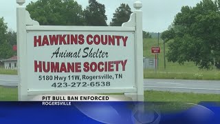 Hawkins County Animal Shelter receiving more pit bulls after city enforces ban