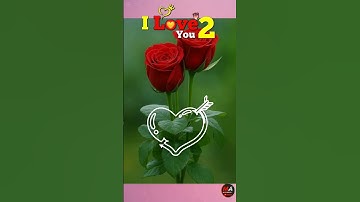 Thumbnail of #T​  name love letter whatsapp status#shortshorts​ #mh48ankesh   #viralvideos​ #name​ #viralshort