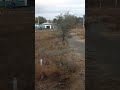 Күздегі Атырау Ақтөбе жолаушылар пойызының терезесінен Қазақстандағы ауыл Казахстан из окна поезда
