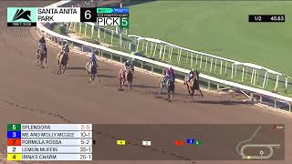 G2・D.ウェインルーカスS 2026 / D. Wayne Lukas Stakes 2026
