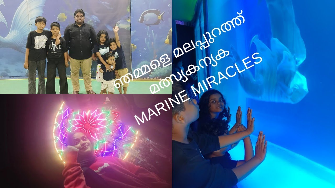 MARINE MIRACLES MALAPPURAM 2026 EXPO, മത്സ്യകന്യക, location മലപ്പുറം nearby budget hyper market.