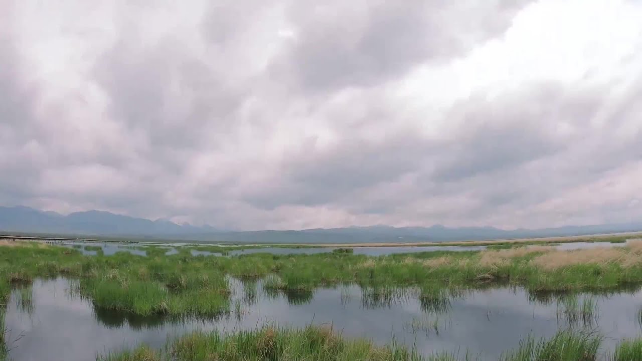 四川省アバ・チベット族チャン族自治州、希少動物が142種に増加