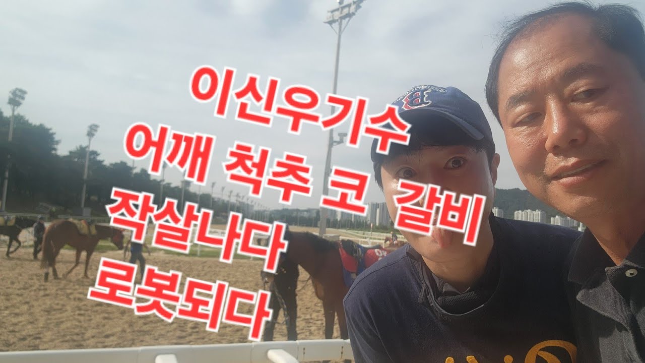 이신우 어깨 척추 코 갈비 횡돌기 한방에 작살. 로봇되다