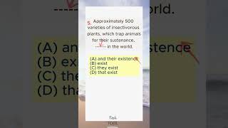 رحلة في عالم قواعد التوفل جملة واحدة تكفي #TOEFL_Grammar #english #توفل_بدون_ترجمة #TOEFL_Tips