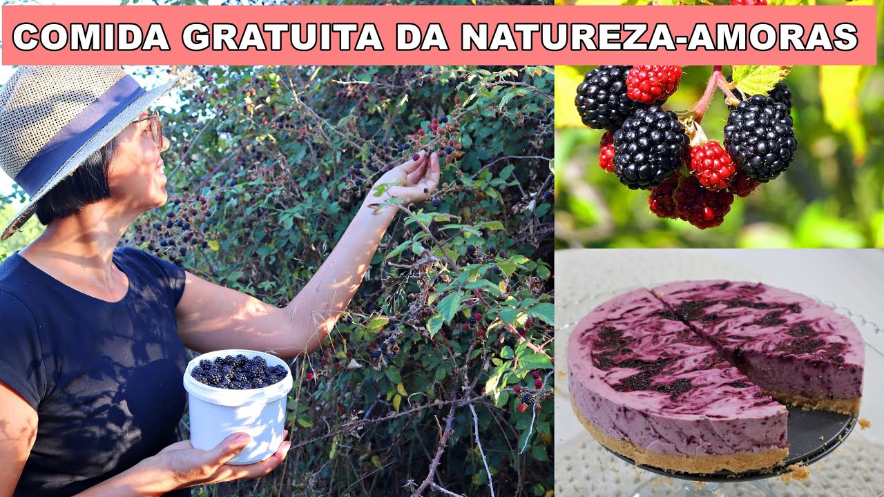 AMORAS SELVAGENS-NOVO CICLO SE APROXIMA-VIDA NO CAMPO