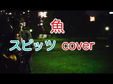 魚　スピッツ（spitz） ギター弾き語りカバー