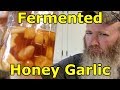 Fermented Honey Garlic feat. Amy Fewell, Ann Accetta-Scott, and Wholesome Roots