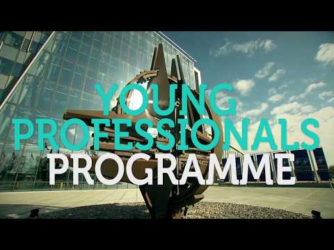 Young Professionals Programme 2020