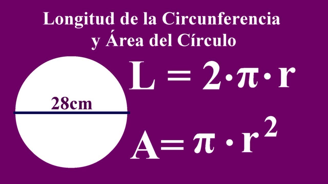 Longitud y circunferencia