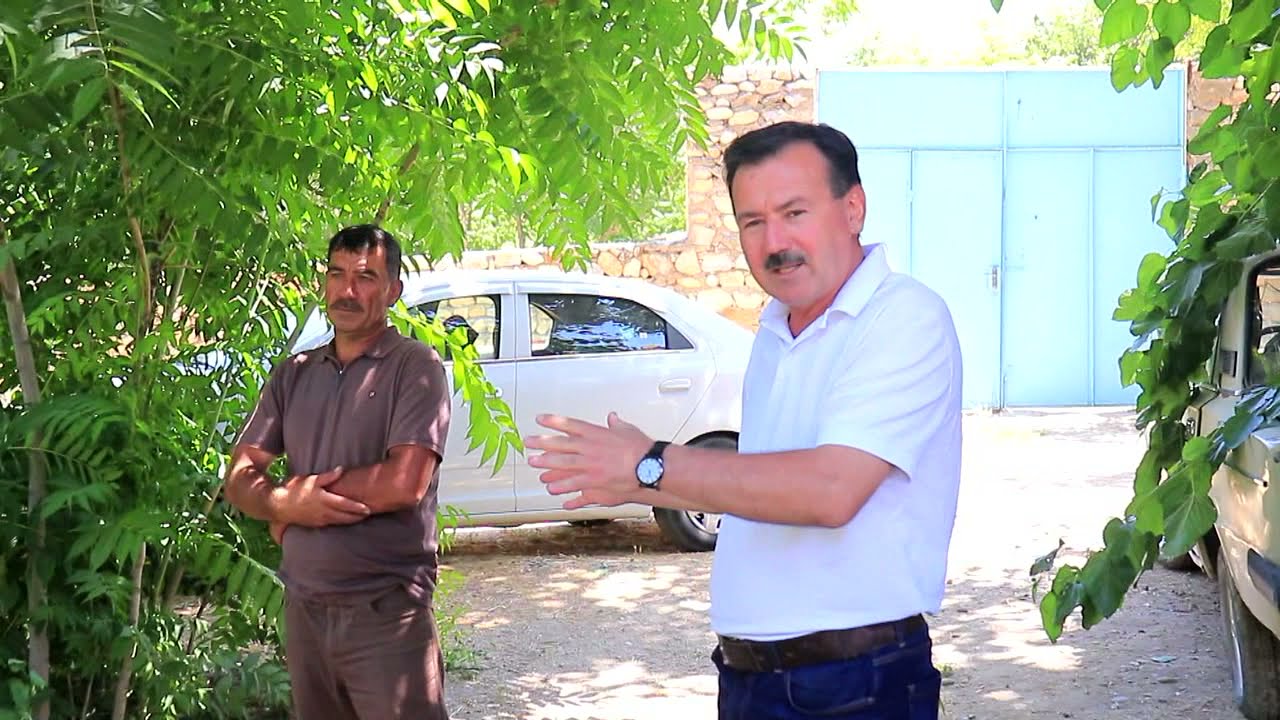 Вохурии хамсинфон