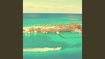 Alluring Music for Irie Moods