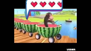 Tren süren maymun