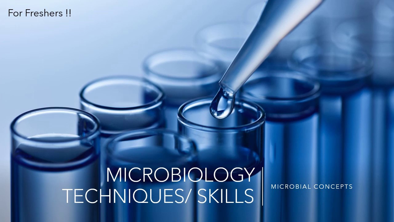 MICROBIOLOGY PRACTICAL TECHNIQUES part2 FY BSc Microbiology