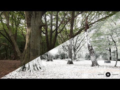 Vídeo: Como você fotografa neve?