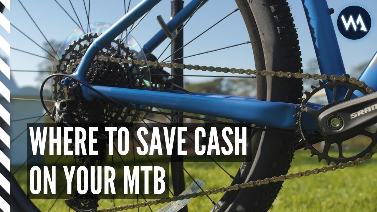 best mtb for the money