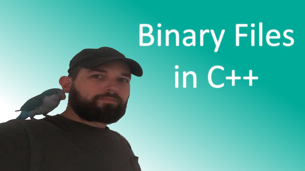 Binary files in C++ - YouTube