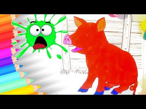 HOW TO DRAW a cute little pig/ how to draw animals 🔴 Fun Rainbow