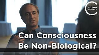 Subhash Kak - Can Consciousness Be Non-Biological?