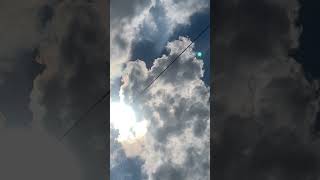 IMG 9655
