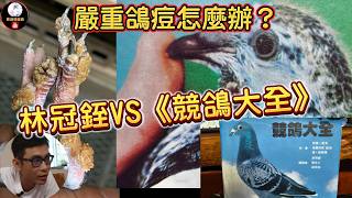 Stop pigeon pox! What to do about severe pigeon pox? Saltwater expert Lin Guanzhi VS 