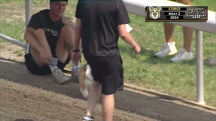 Canterbury Park Corgi Dog Races 2024