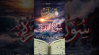 watch this beautiful and heart soothing Quran recitation #quran #dua#islamicfaith #hajj2026#shorts