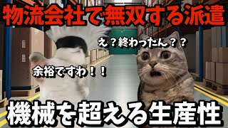 【職業あるある猫ミーム/無双する安達さん】#猫ミーム #仕事#物流会社