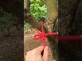 How to tie a SPECIAL Bowline #lifeskills #rope #lifehacks (▶ 11)